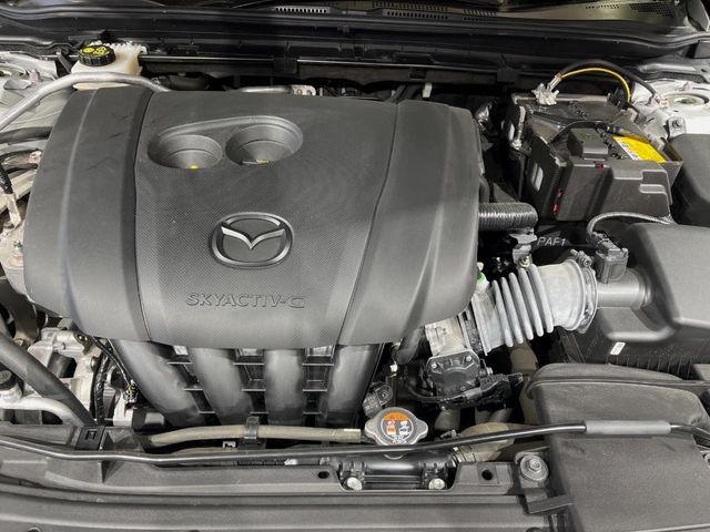 25660802
