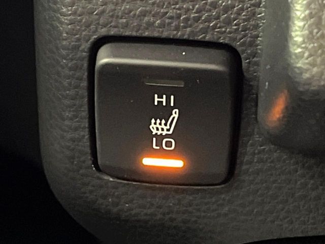 25660841