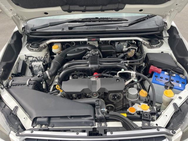 25661263