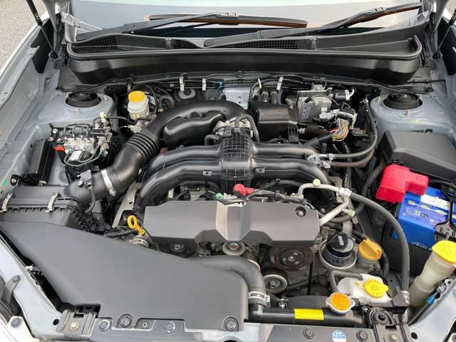 25661754
