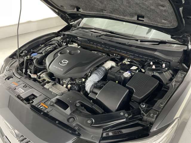 25662711