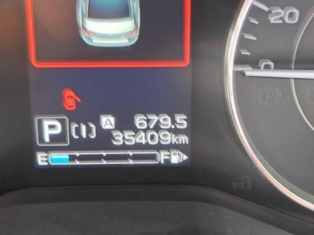 25665076