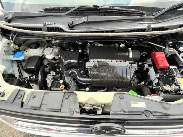 25665241