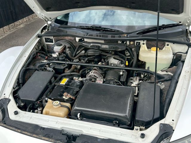25665834