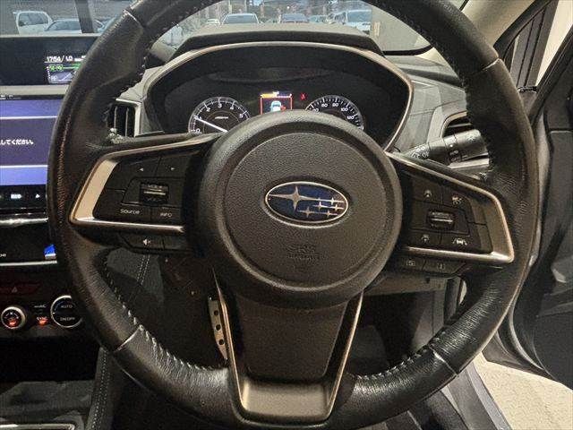 25666233