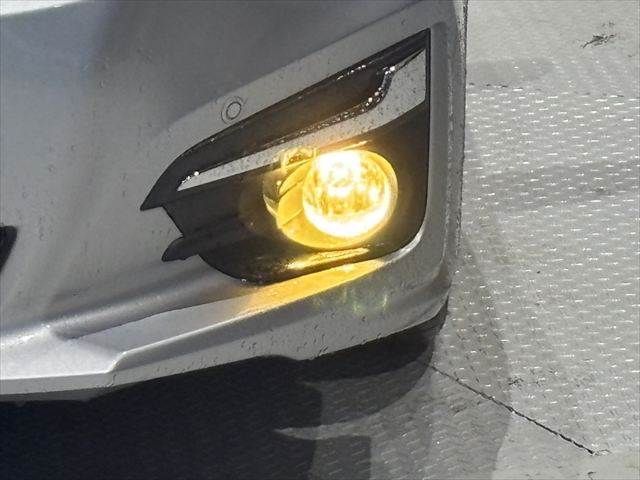 25666233