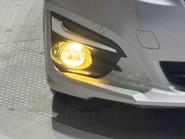 25666233