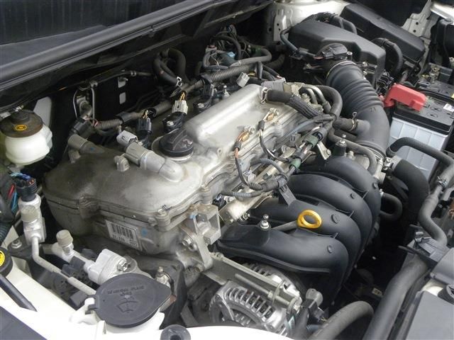 25666400
