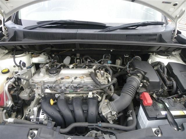 25666400