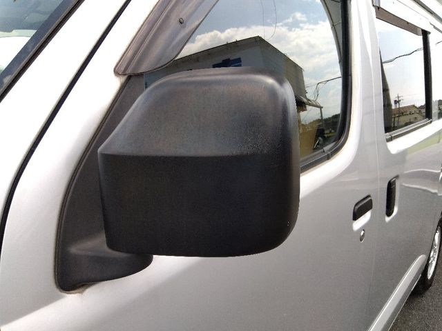 25750319