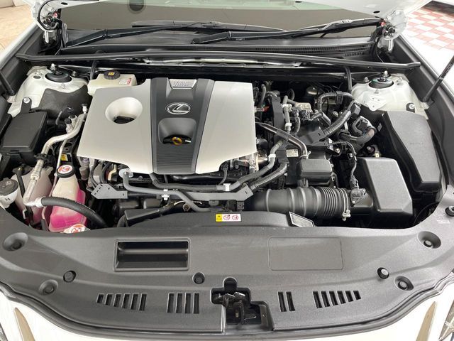 25761152