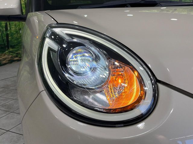 25761572