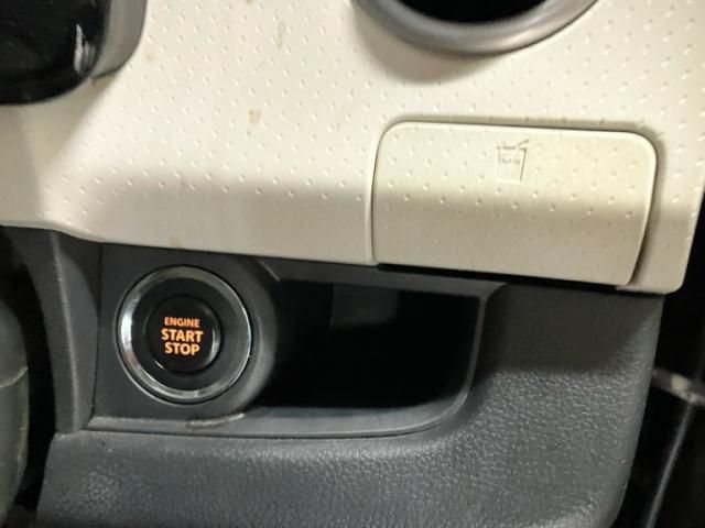 25766117