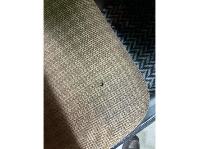 25766117