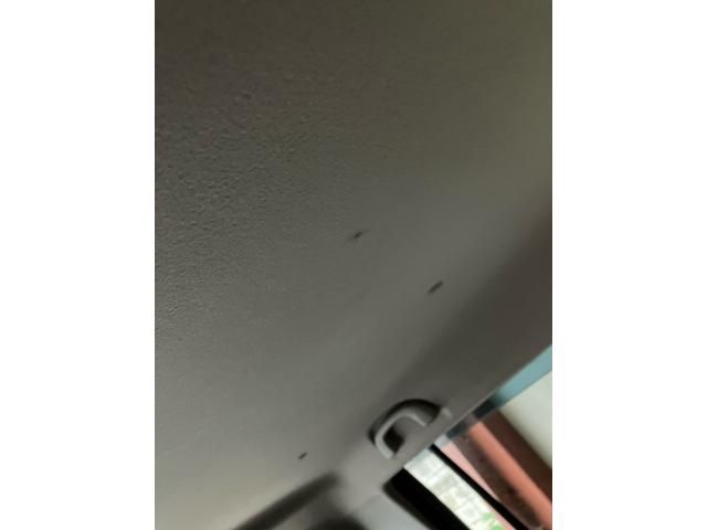 25766117