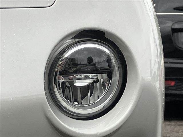 25766203