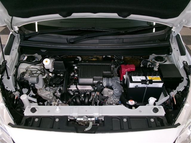 25766262