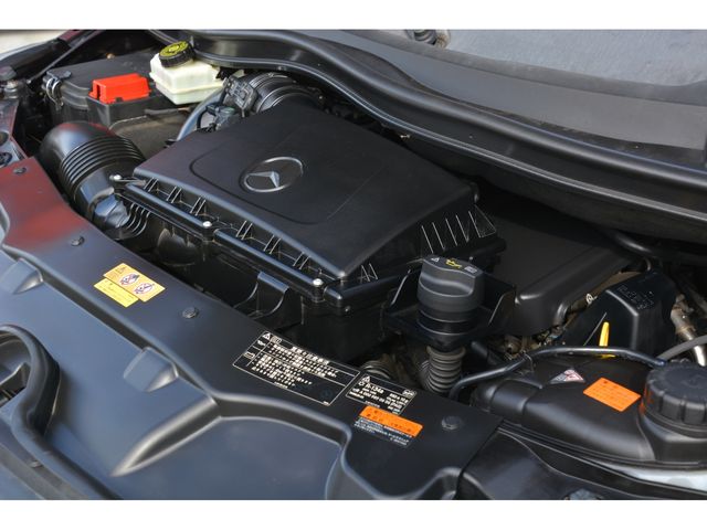 25820048