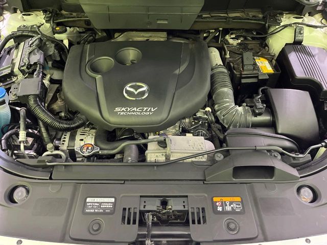 25860941