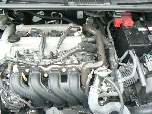 25950329