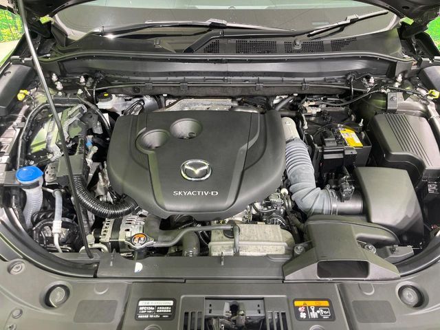 26060887
