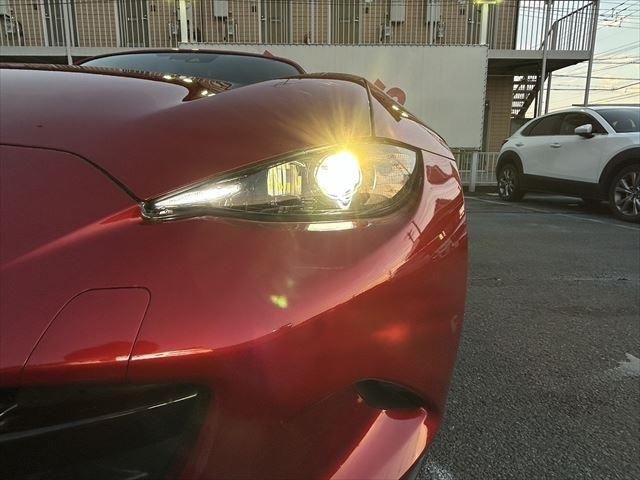 26065509