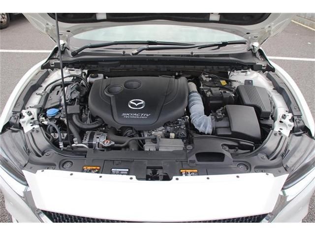 26065966