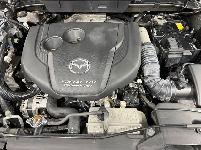 26162993