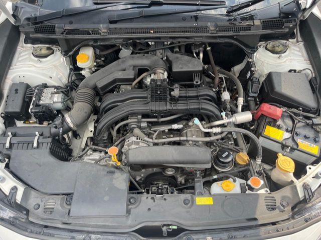 26165978