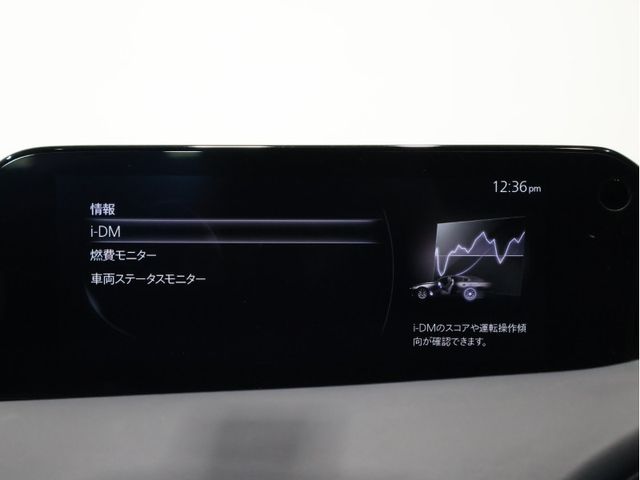 26220173