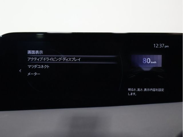 26220173