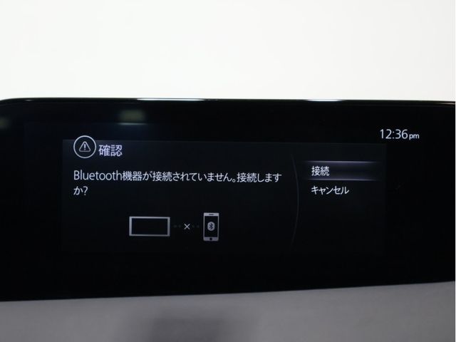 26220173