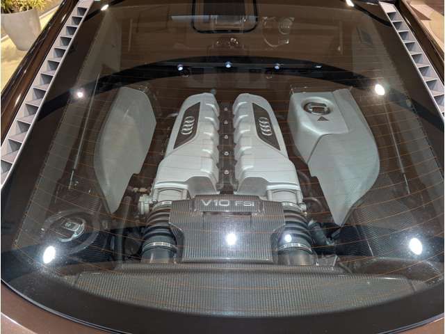 26260994