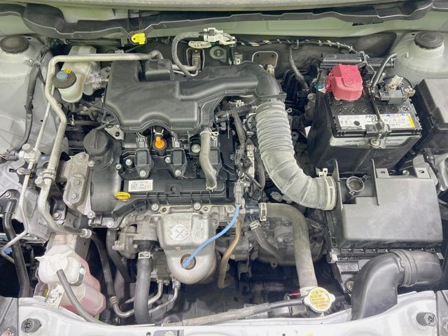 26261194