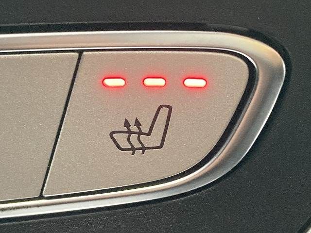 26262823
