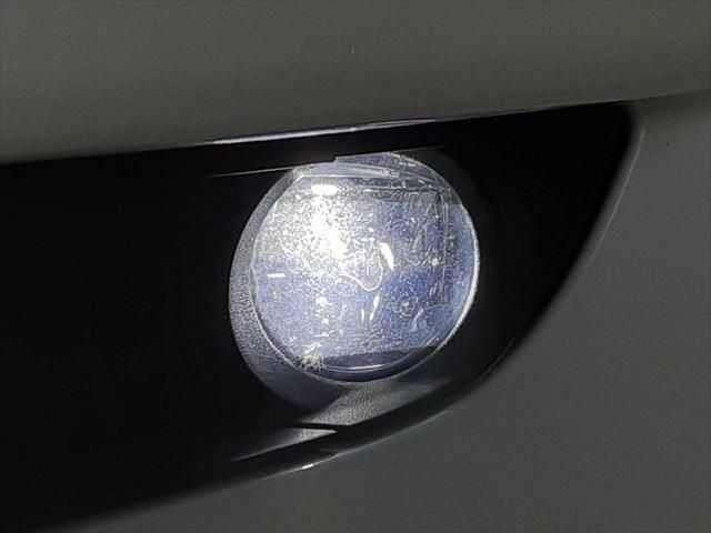 26265604
