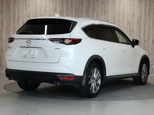 26265604