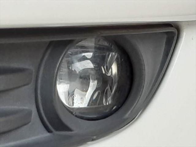 26265604