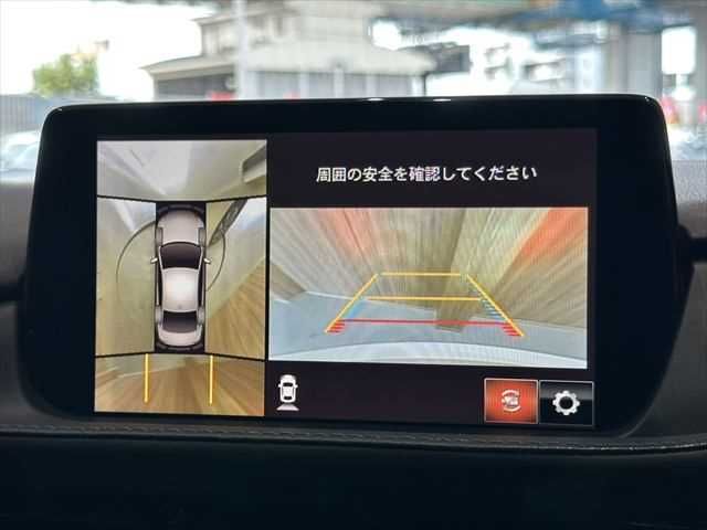 26267653