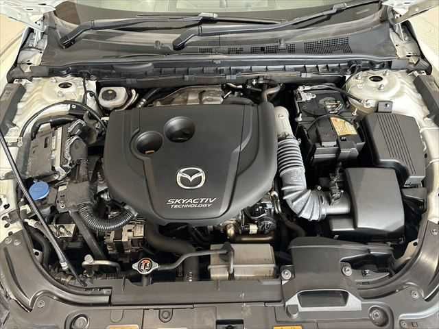 26267653