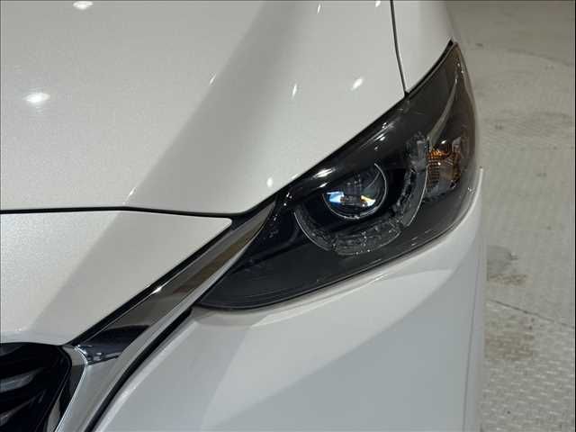 26267660
