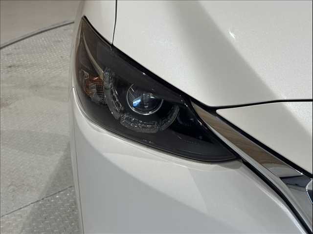 26267660