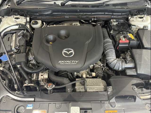 26267660