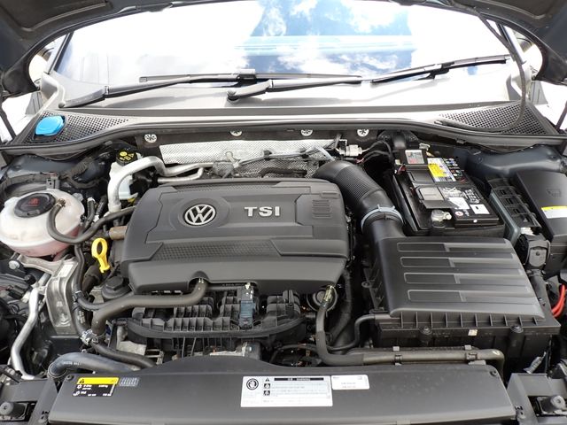 26350079
