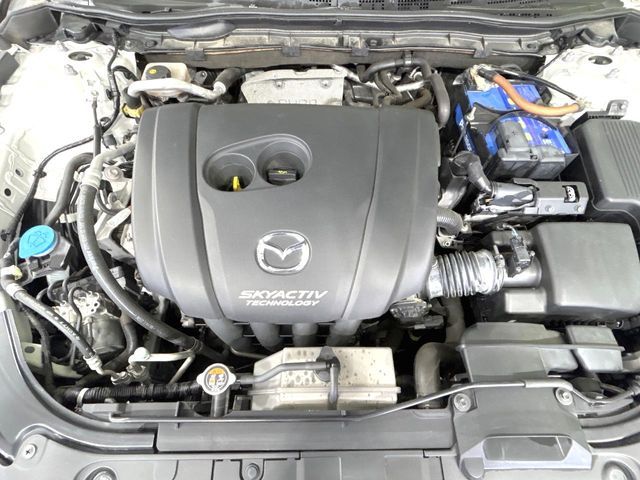 26360459