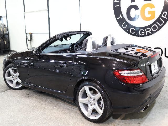 26390051