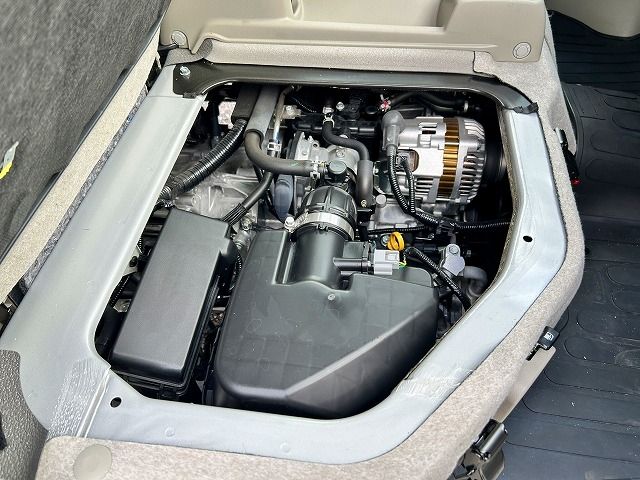 26450196