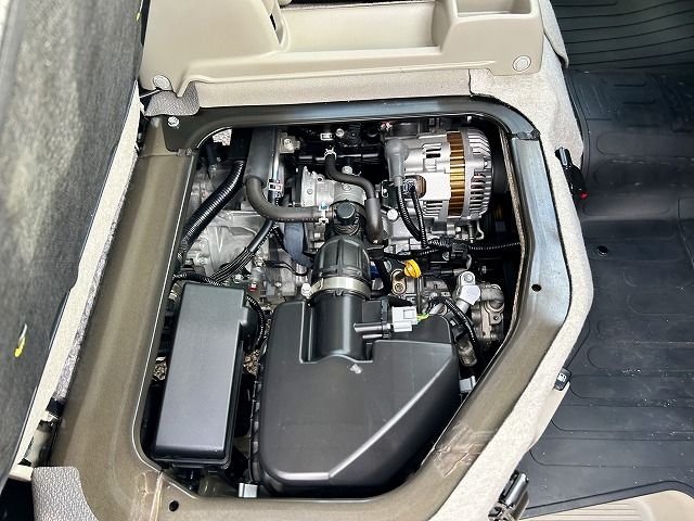 26450209