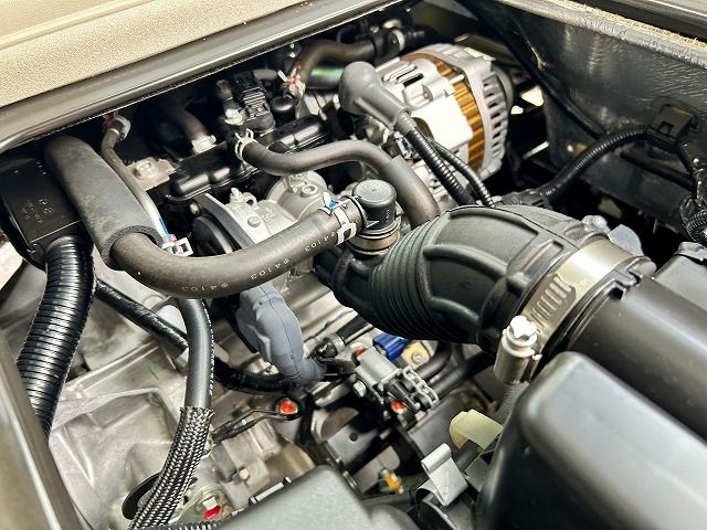 26450209