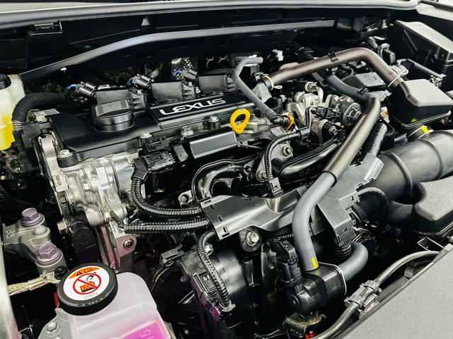 26550033